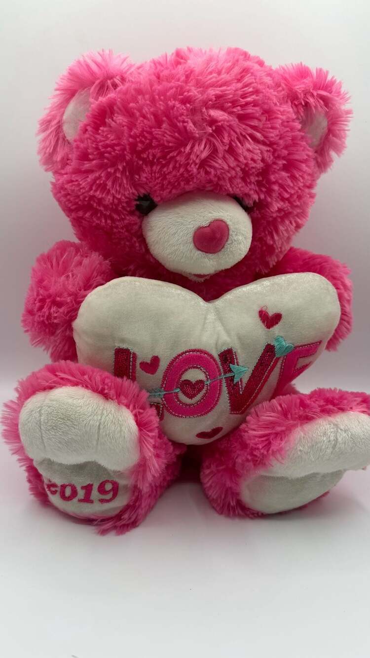 Dan Dee Sweetheart Teddy Bear Pink Plush 2019